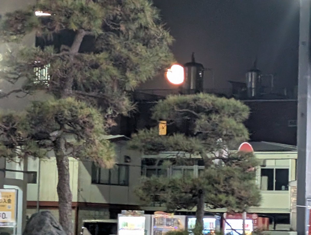 nekosirasu's tweet photo. 今日の満月、大きくてきれいだった。
今年最後の満月らしいです。 https://t.co/EghYU1S1JM