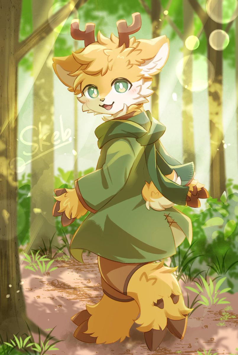 Skeb commission🌿