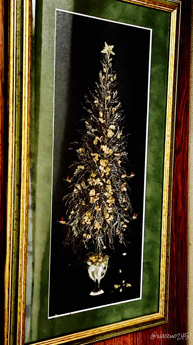 押し花のクリスマスツリー 押し花のクリスマスツリー 【公式通販】