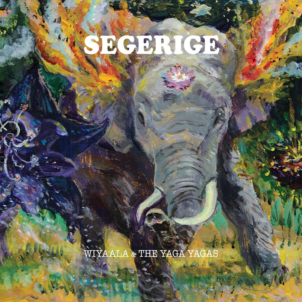 THE LIONESS 🦁🌍🦁 tweet media