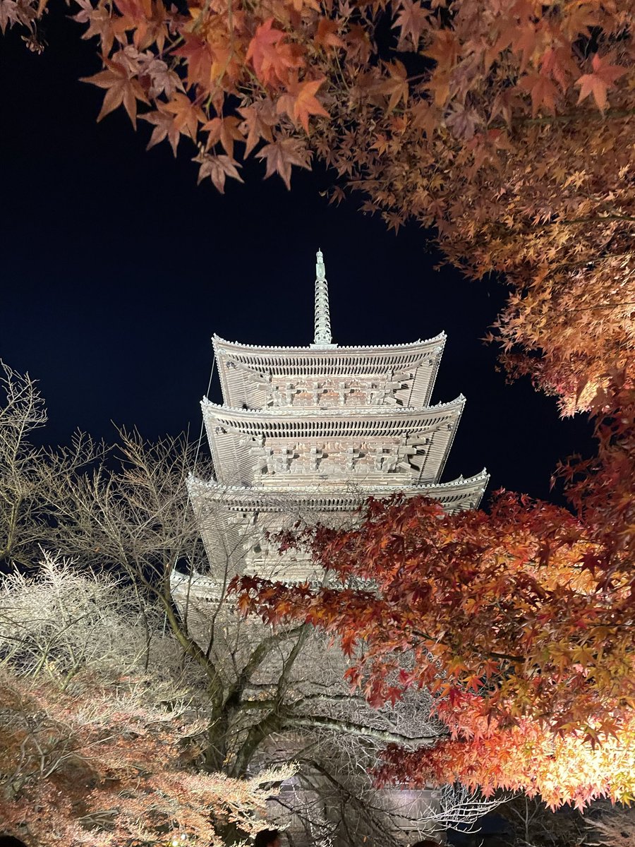 ミント (@tomiminto) / Posts / X