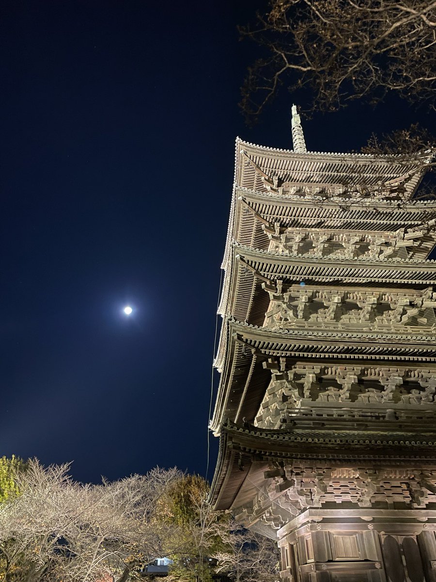 ミント (@tomiminto) / Posts / X