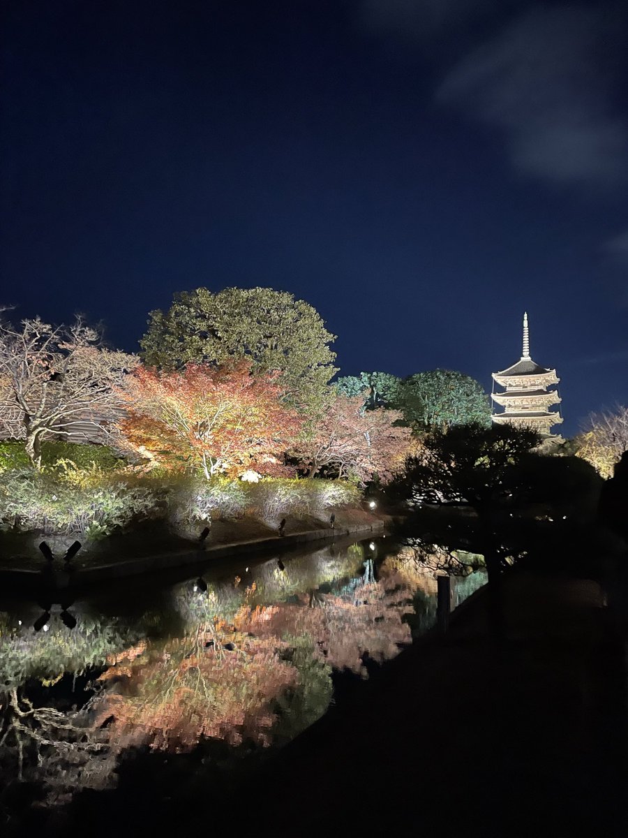 ミント (@tomiminto) / Posts / X