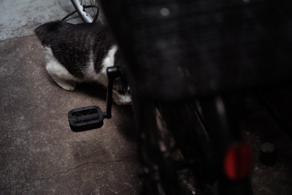 歌舞伎町の路地裏