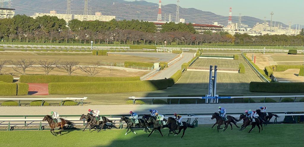 朔夜 朔夜しぐれ(25thレア/通常イラスト) | クォーターセンチュリー