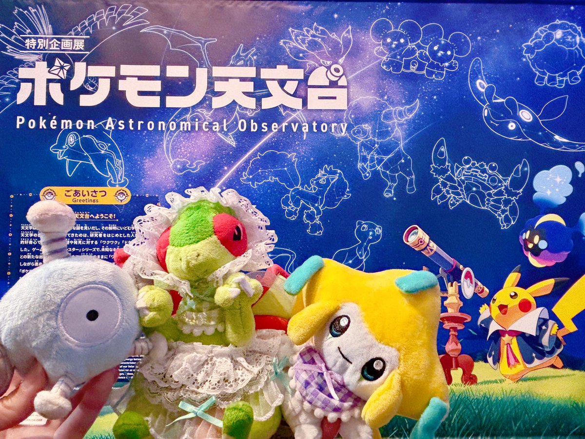 ぴよぴよ💐 (@RRRisyf) / Highlights / X