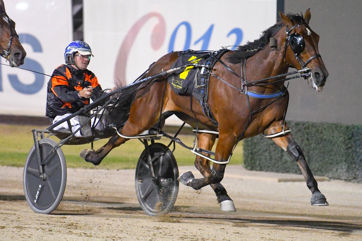 Club Menangle tweet media