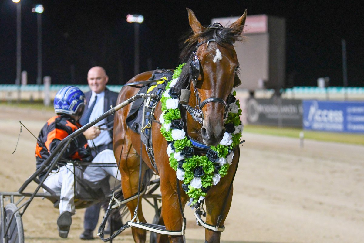 Club Menangle tweet media