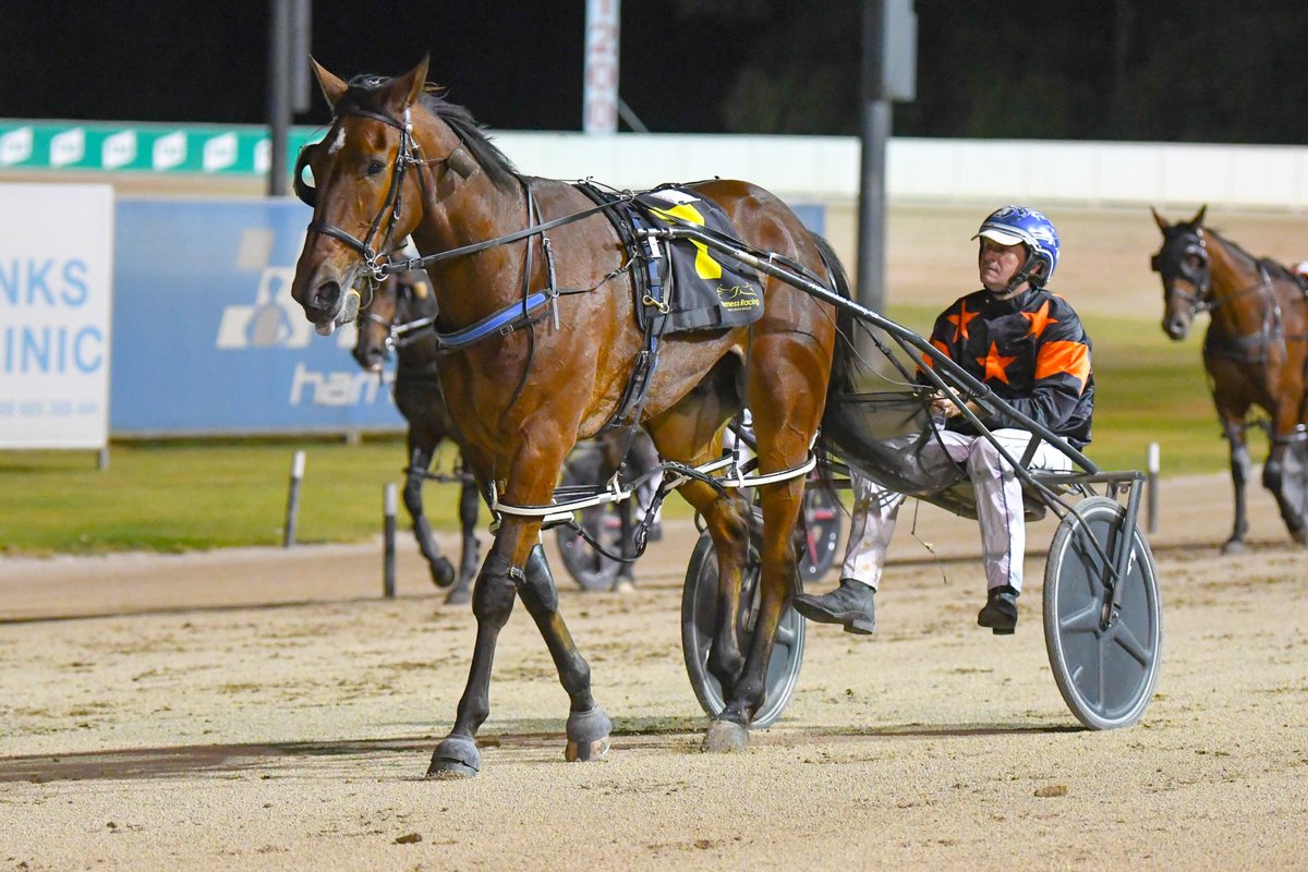 Club Menangle tweet media