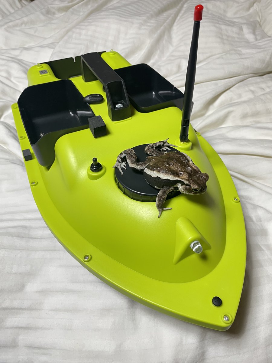 おーちゃん (@Ohchan_sub) / Posts / X