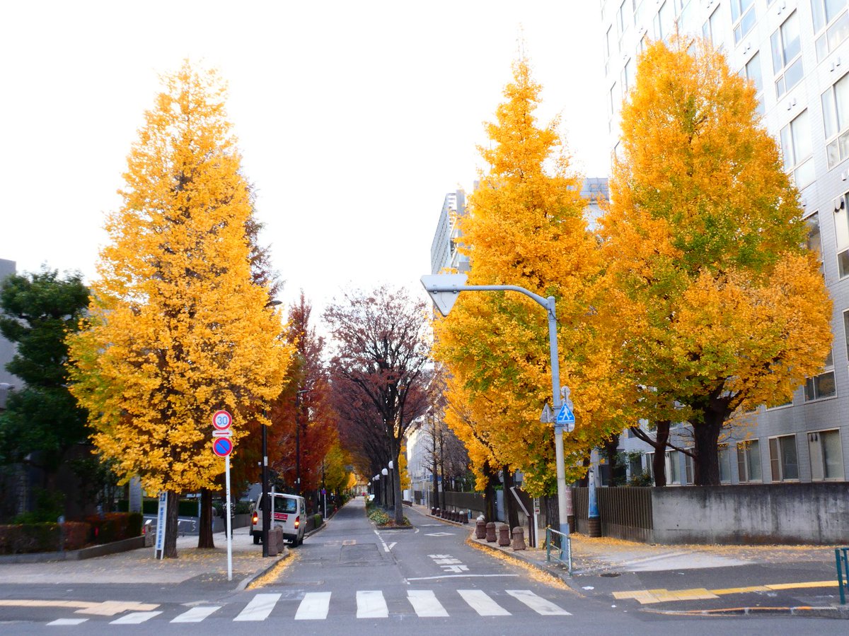 渋谷駅から始まり、西郷山(36m)、千駄ヶ谷富士(6m)、箱根山(45m)を
経て約16kmを練り歩きました🚶

昼に生中🍺かました酔っ払いだという事も忘れて(笑)

そんな訳で高田馬場到着、馴染みの神田川でゴールとします👍

ちゃんちゃん。