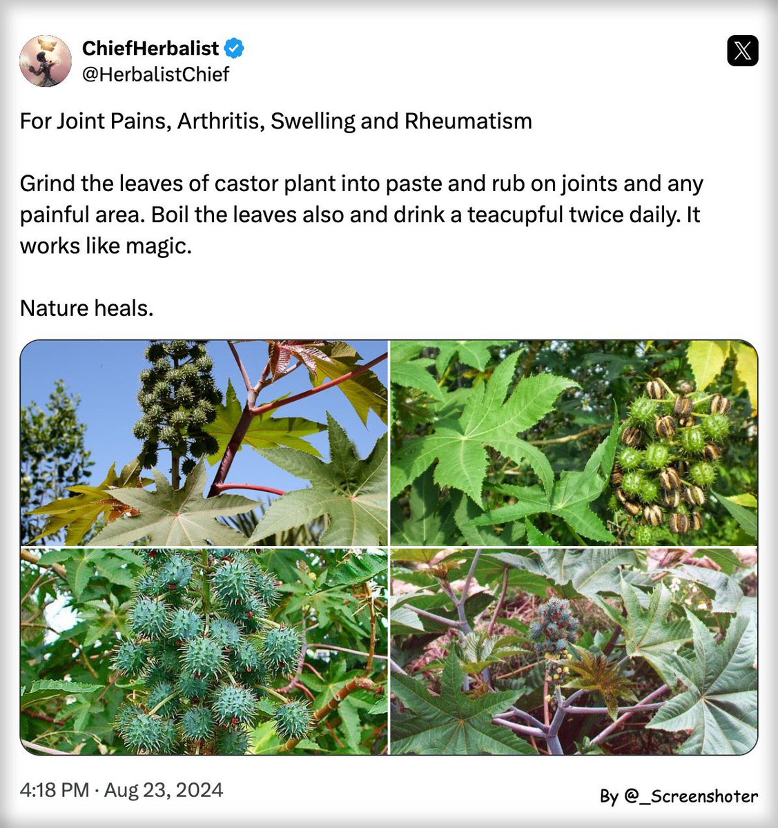 HerbalistChief's tweet image. Knee pains cured successfully.

Nature heals