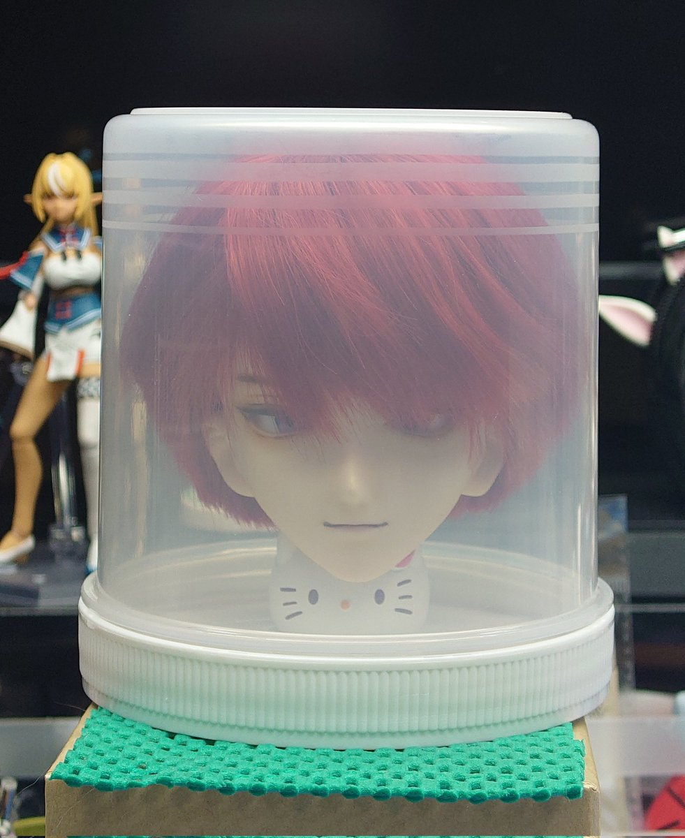 🐱( '-' 🐱 )ﾈｺﾁｬﾝ (@nekochan1192) / Posts and Replies / X