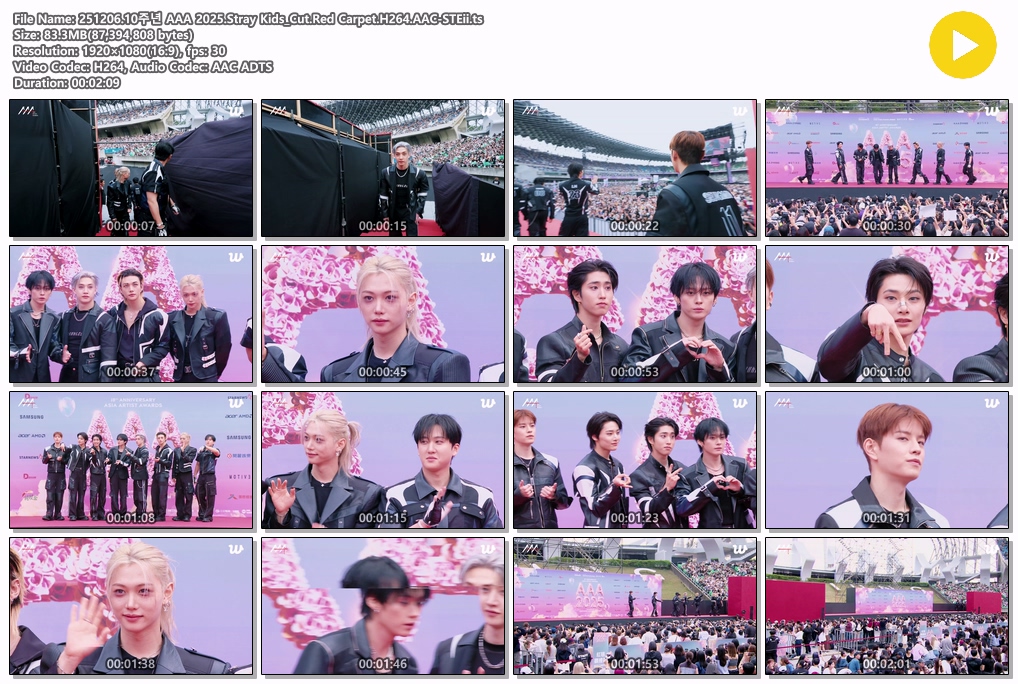 251206 AAA Stray Kids 레드 카펫

🔗drive.google.com/file/d/1gViUh8…