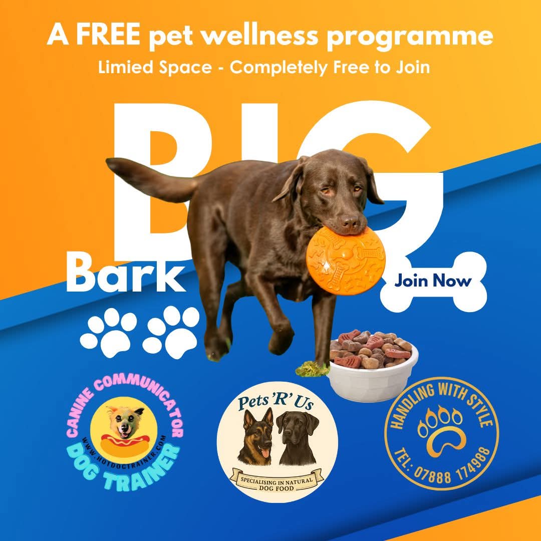Have you got a lazy Labrador? Sign them up to the FREE Big Bark 2026 and learn how diet, training and exercise can help you and your dog. Click the link below to get more information: f.mtr.cool/xohplsdsmn
