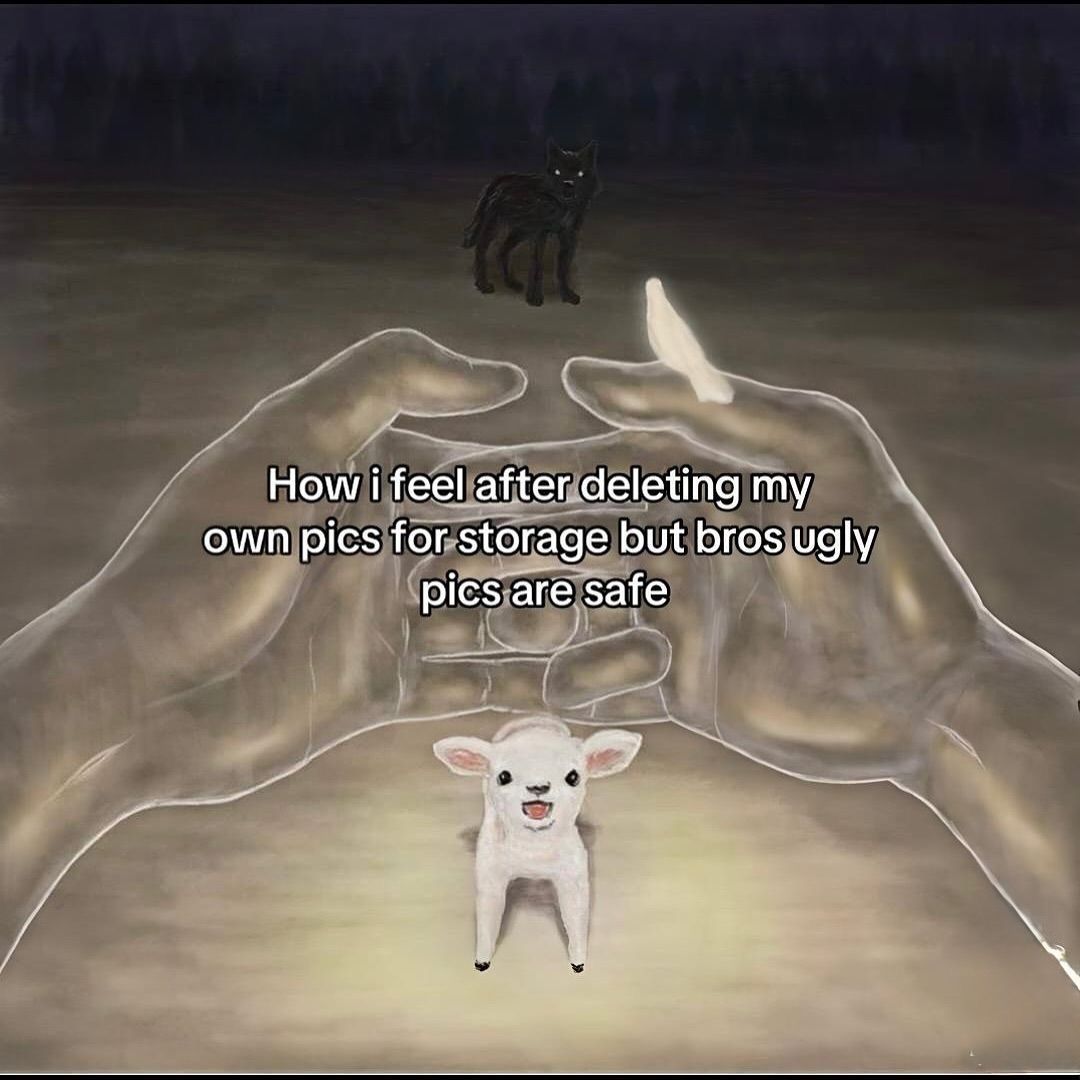 wildtiktokss's tweet image. 