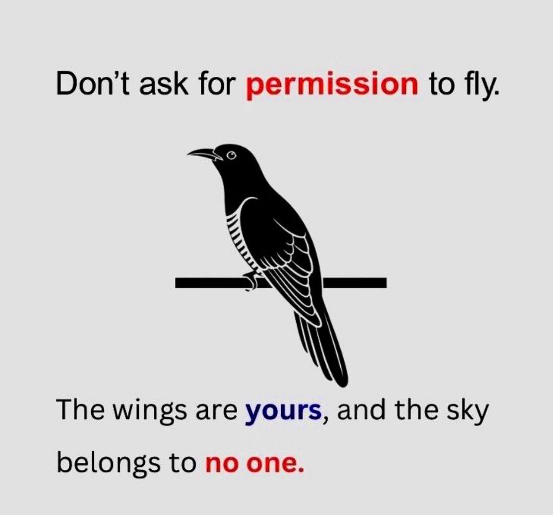 AZHaider's tweet photo. Don’t Ask …… 

#progress #victory #life #faith #lessons https://t.co/vx8QOB7MSo