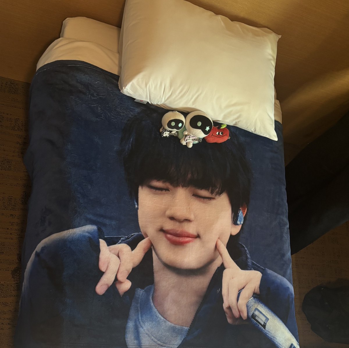 日本にいてもブランケットは買うことはなかった 大きすぎるし飾る