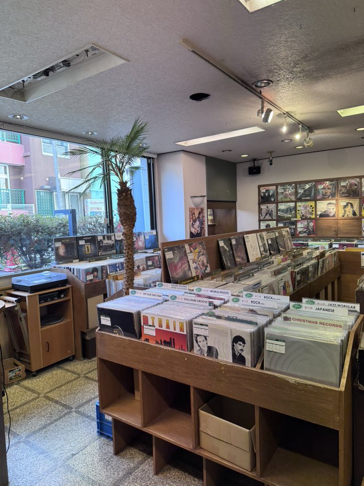 ココナッツディスク吉祥寺店様

ロックやジャズ、ソウルからテクノに民族音楽まで幅広いジャンルを揃えていながら独自のテイストが光る店内にはお宝が目白押し！

初めての方も是非この機会に足を運ばれてみては？

#レコードの日