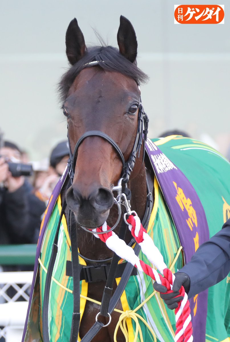 米国同時多発テロ 日刊ゲンダイ 米国同時多発テロ 日刊ゲンダイ Amazon