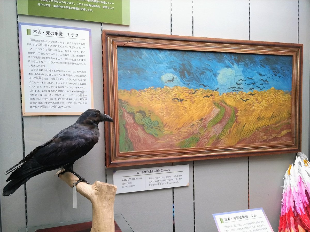 特別展「#群れる鳥」紹介🐦 第1章「人と鳥の群れ」では、絵画や文学