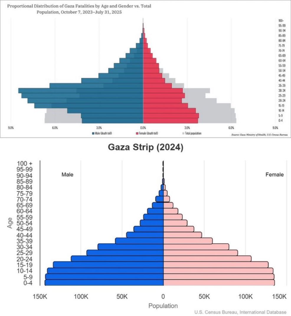 Män i krigsduglig ålder är kraftigt överrepresenterade bland döda i kriget men visst: ”Israel mördar civila urskiljningslöst”, även när vi vet att Hamas krigar utan uniform.