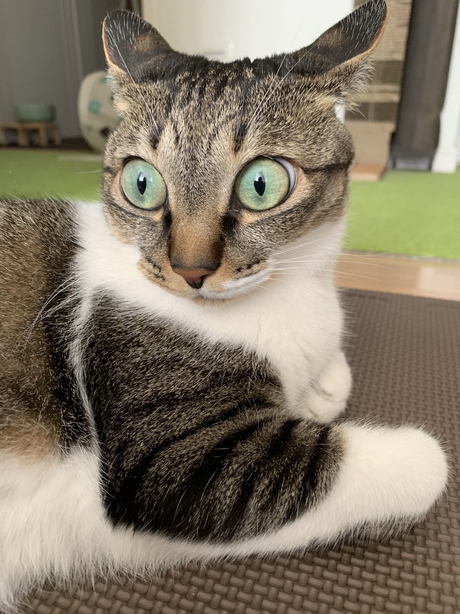 美波 (@9fdTJfsAACGnBqR) / Posts and Replies / X