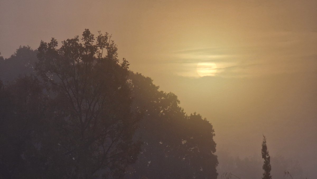 Amanece, que no es poco.