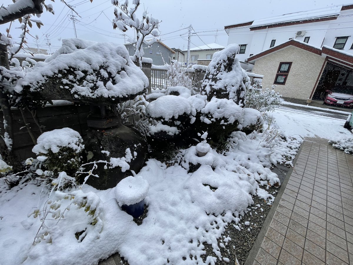 chikanpro's tweet photo. 久しぶりだね？

今シーズン初の雪が降ったよ。誰かと温まりたいな。痴漢プレイの専門家なんだ。明日仙台駅で時間があるんだ。詳細はDMで。

仙台:
12/7 日曜日
8:00～18:00 

#仙台
#裏アか男子
#待ち合わせ痴漢
#痴漢プレイ https://t.co/6zZMTuz28V