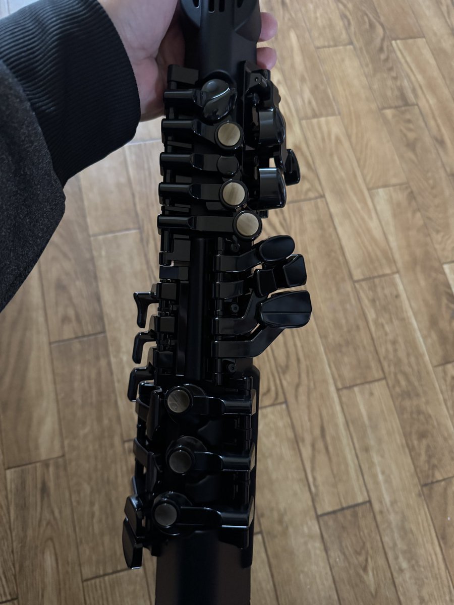 森野くまこ🧸🎷 @エッオー (@kumaco_sax) / Posts / X