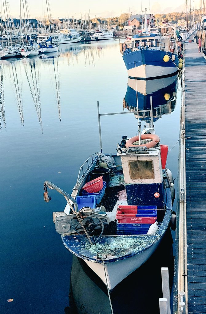 " Je suis petit, il est vrai..."

Mais aux bateaux amarinés
Le panache vient à chaque marée.

L' Hermione II
Paimpol 

Bon week-end !