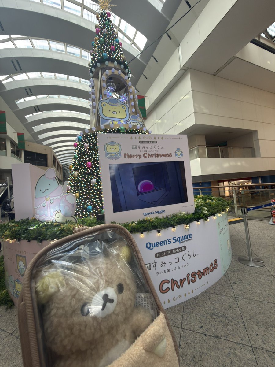 くまおくん tweet media