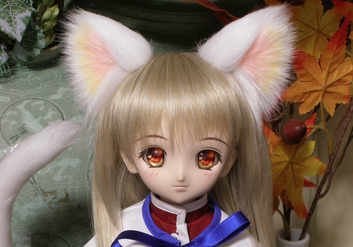 ねこ様DD Skt専用