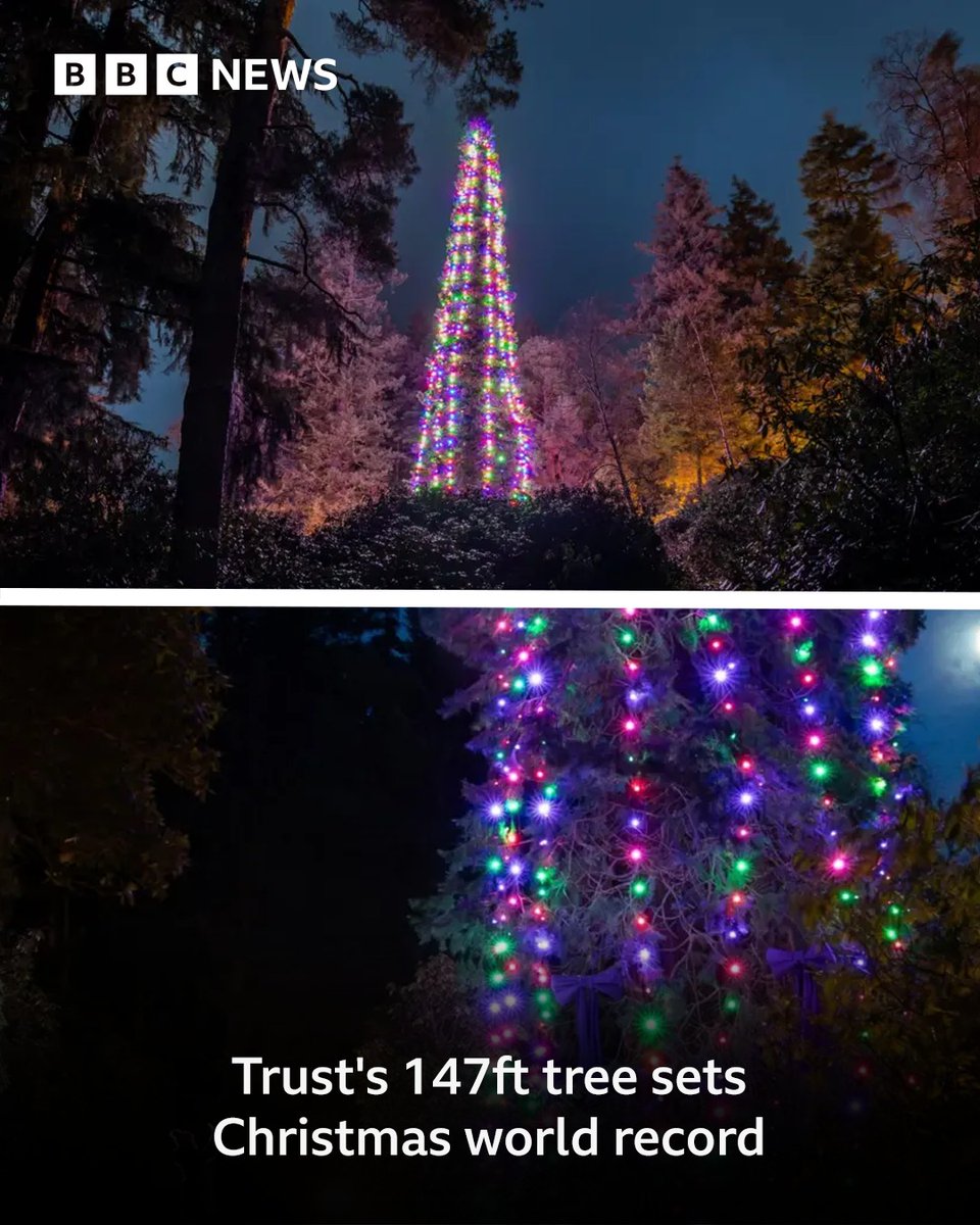 Whitelee Cottages tweet media