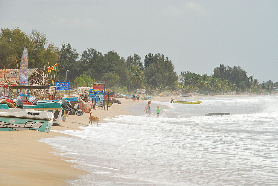 hojaderutas's tweet photo. Nilaveli, la mejor playa del norte de Sri Lanka: https://t.co/snmm5n9h7Q https://t.co/xgDOCaJn4i
