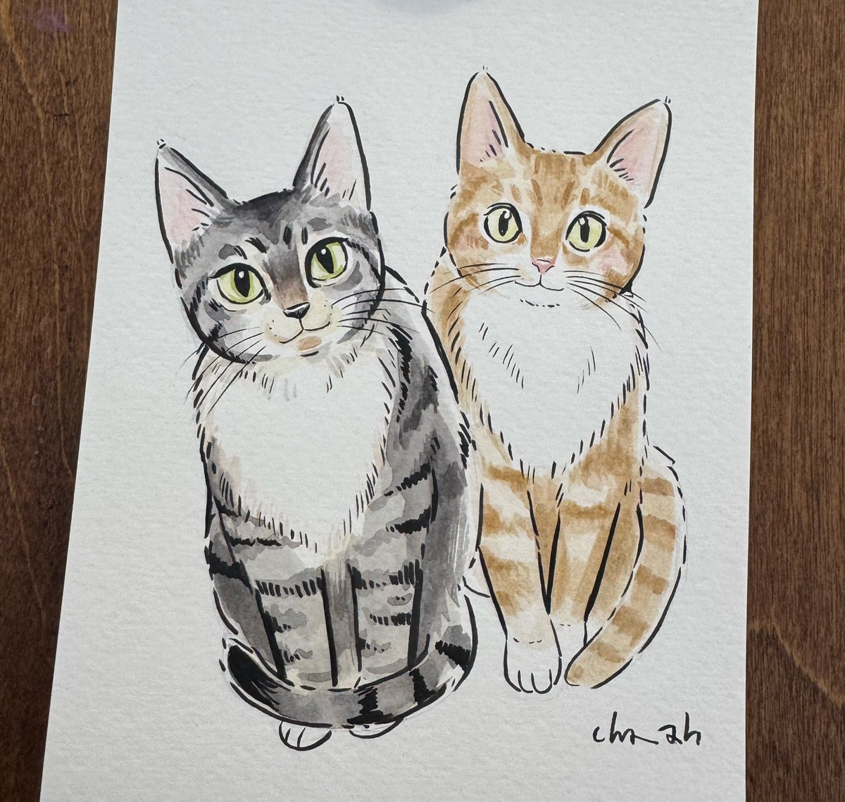 우리집 고양이들을 그렸다 😸