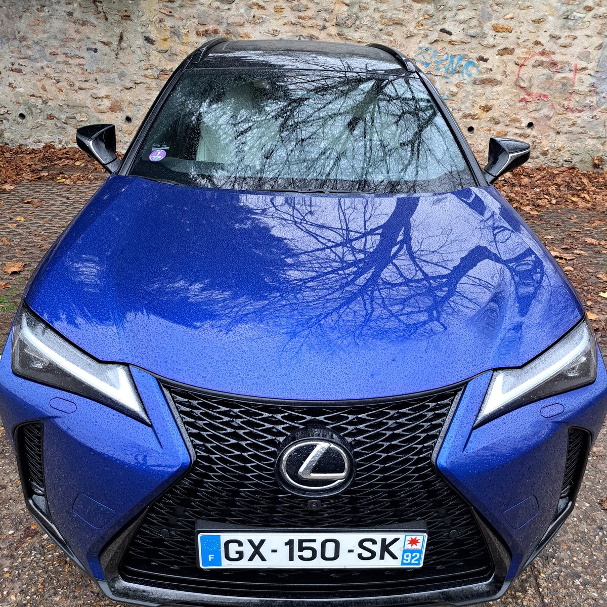 Yves CARRA tweet media