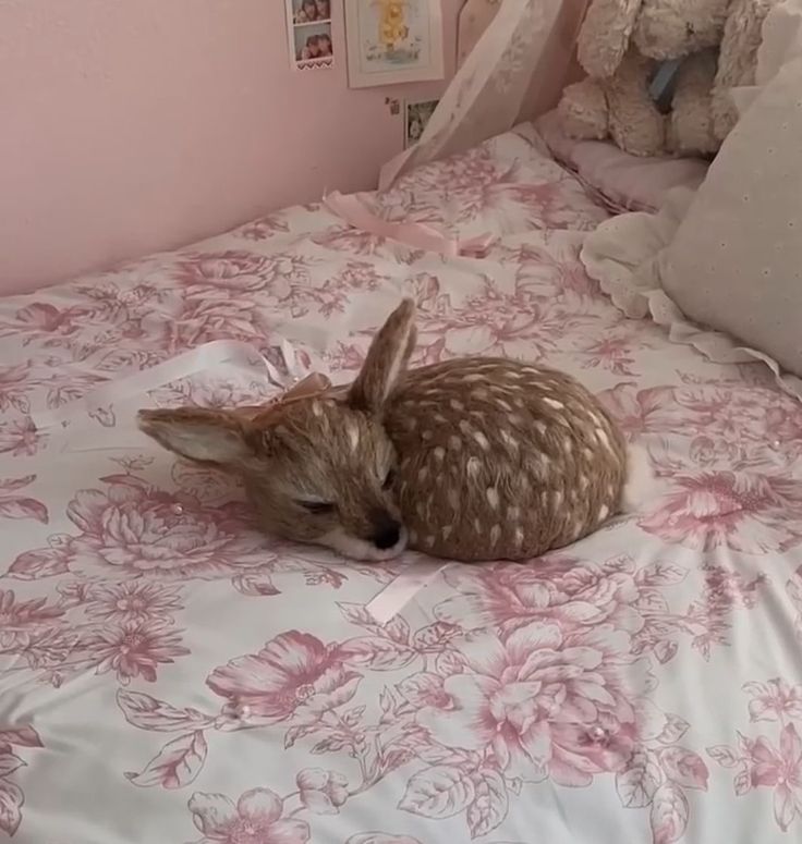 John fawn tweet media