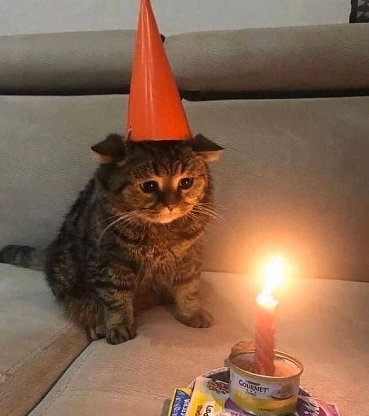 ctrlplusz_gist's tweet image. Share a dream project you want to work on.