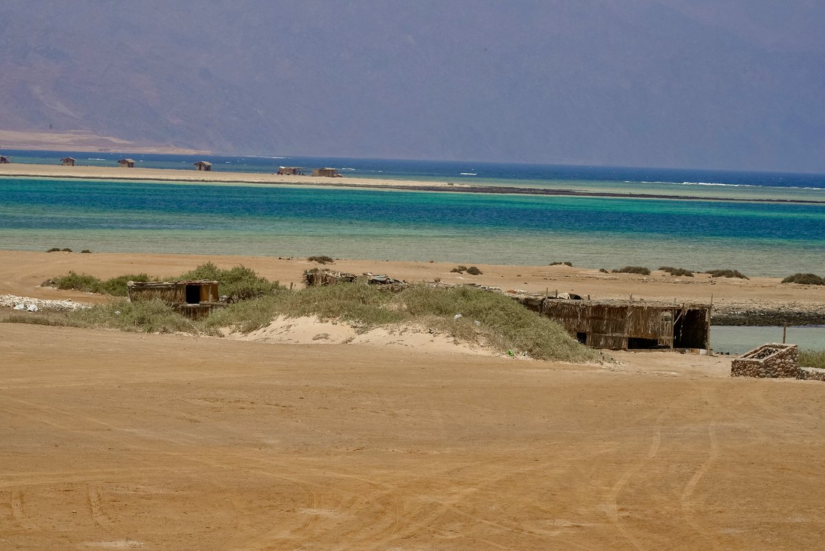 UNDPEgypt's tweet image. Preserving biodiversity = protecting life, health &amp;amp; livelihoods. 

@EGY_Environment, @theGEF &amp;amp; UNDP:
📊 Developed Egypt’s 6th National Report on #biodiversity 📑 Supported a national strategy to integrate biodiversity into tourism, agriculture &amp;amp; urban planning.