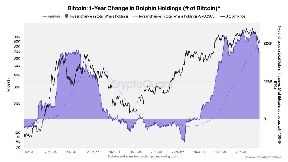 QuintenFrancois's tweet photo. Addresses with 100-1,000 Bitcoin are buying like never before 🚨 https://t.co/hI8tCsH9y8