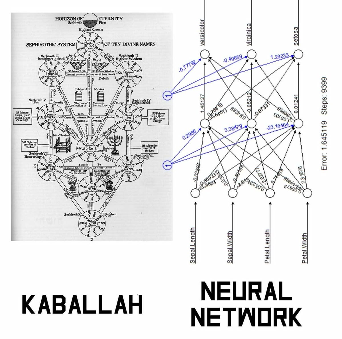 xenophrēne 🪲 tweet media