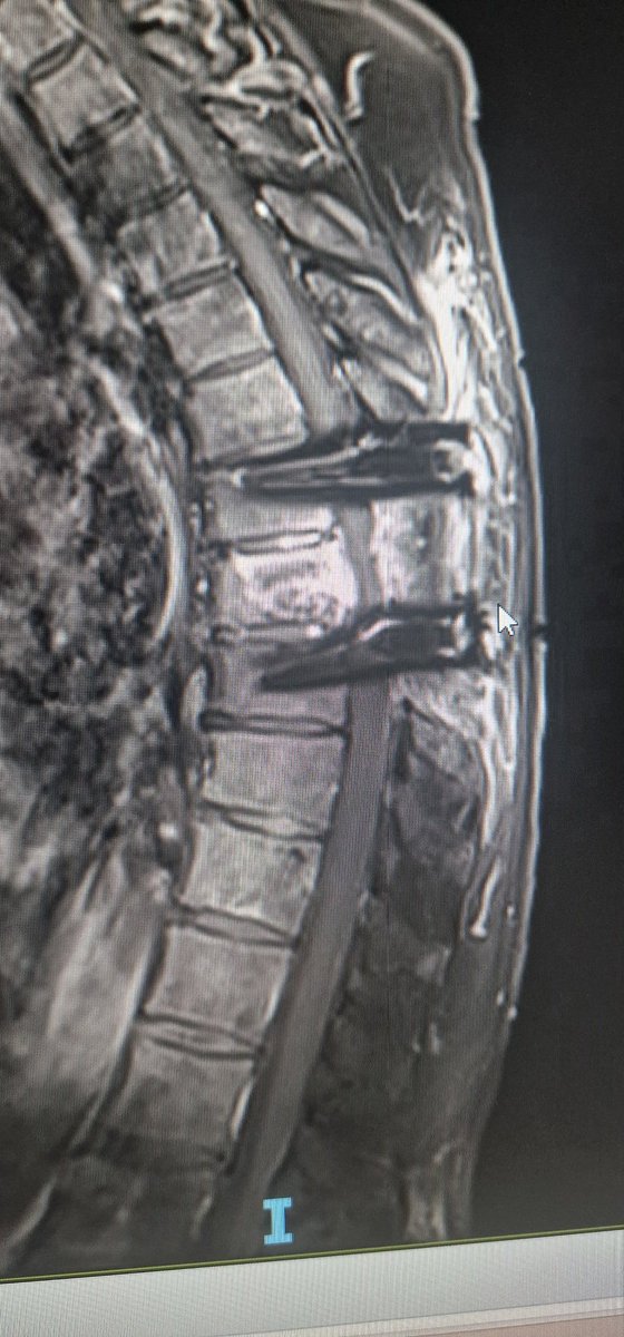 Carmelo Tuscano🇮🇹🇪🇺 tweet media