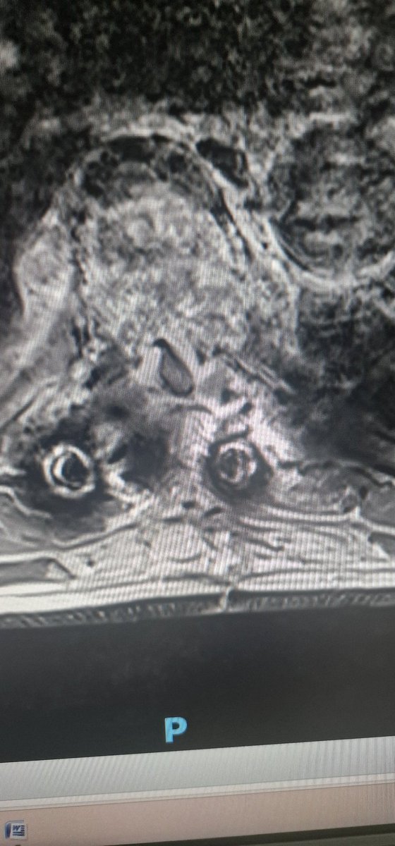 Carmelo Tuscano🇮🇹🇪🇺 tweet media