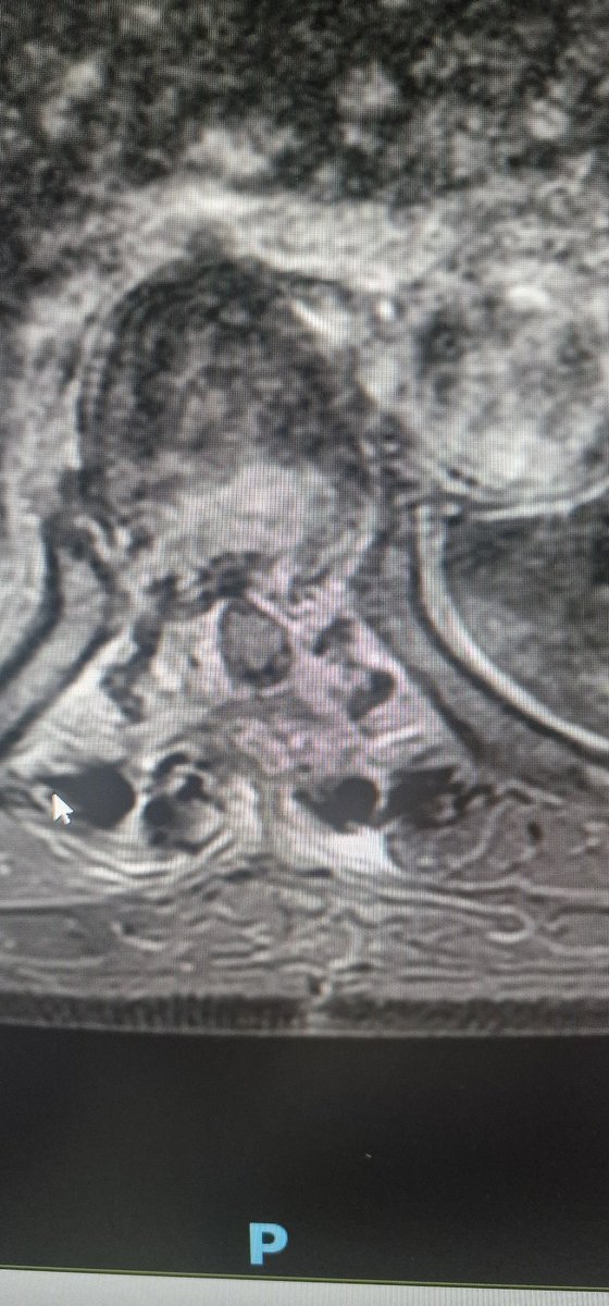Carmelo Tuscano🇮🇹🇪🇺 tweet media