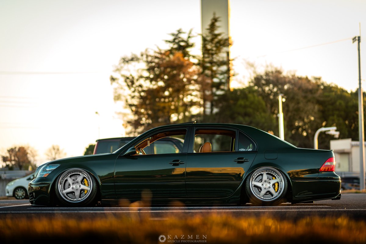 ＊けんセル＊ tweet media