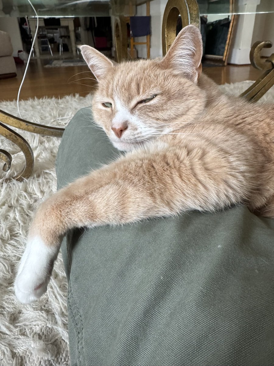 Yoi🇺🇸 (@yoi_hibino) / Posts / X