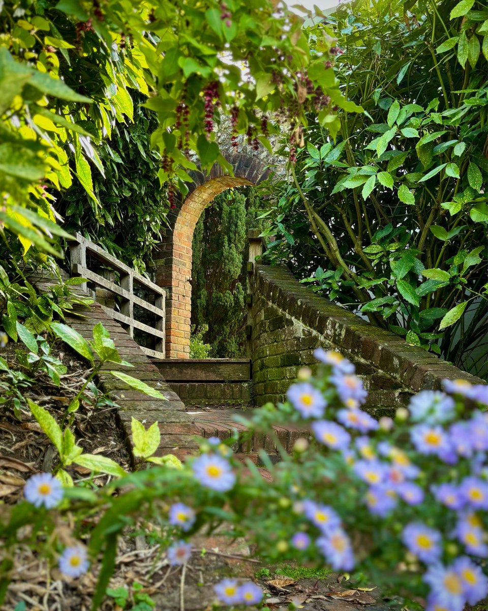 WeirdInTheWade's tweet photo. Where does this garden gate and path lead? It takes us to the haunted house weโll visit on Mondayโs episode of Weird in the Wade. Weโll be taking a trip away from the โWade to visit Brighton. Available Monday 8th December.
https://t.co/FJRQ7bdhoy https://t.co/zh5FwXPkqC