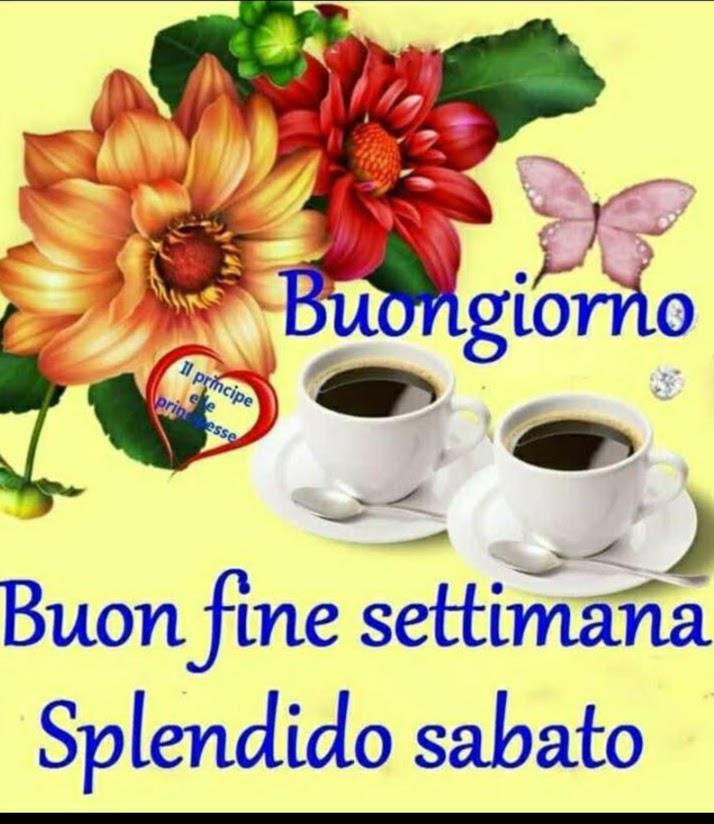 Marianna tweet media