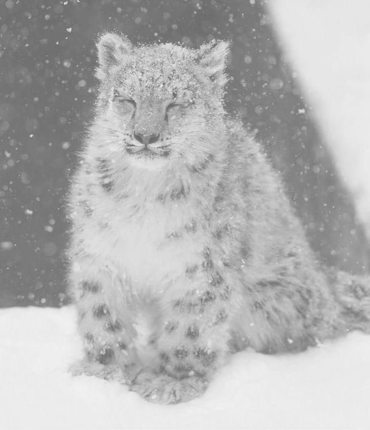 Milo 😴 tweet media